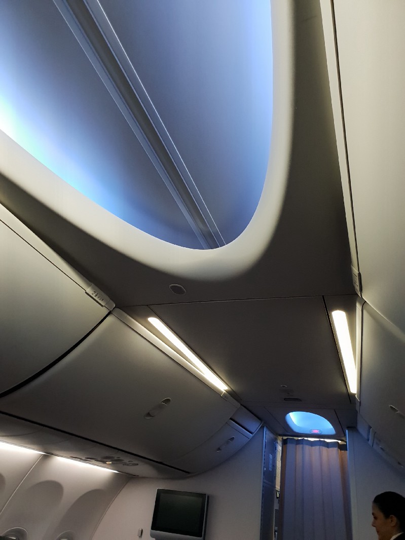 看到這樣的屋頂就知道是新型737的設計空間感比較好