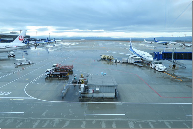 全日空：成田轉國內線紀錄 TPE-NRT-NGO 中部機場過夜    機場懶人包：回程 名古屋 經成田台灣