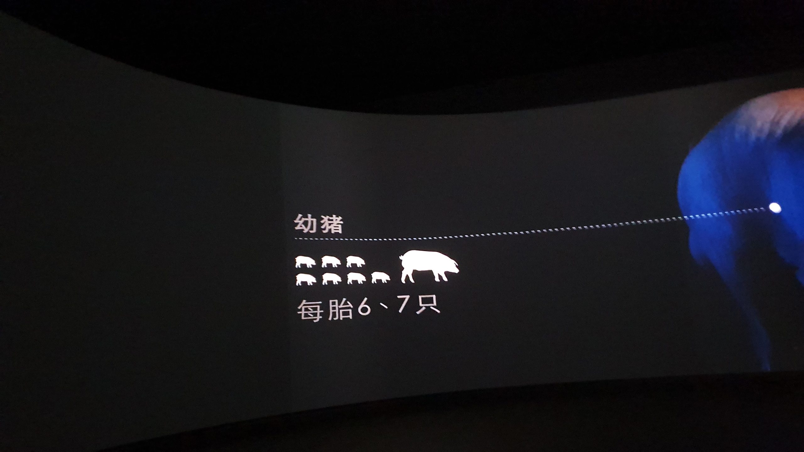 西班牙南部 哈布果:5J 西班牙伊比利豬火腿 工廠/牧場參觀:參觀過程當中會播放一段介紹影片 西班牙南部 哈布果:5J 西班牙伊比利豬火腿 工廠/牧場參觀:參觀過程當中會播放一段介紹影片