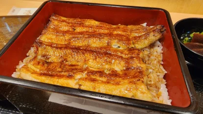 在東京又吃了些什麼東西 2022-12 東京吃貨筆記:銀座 鳴門 上野松坂屋店 在東京又吃了些什麼東西 2022-12 東京吃貨筆記:銀座 鳴門 上野松坂屋店