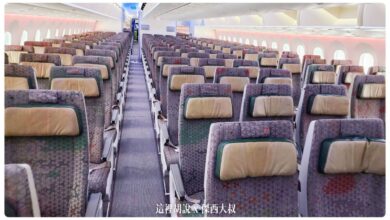 EVA Air Flight Review: 787-9 & 787-10 Dreamliner Economy Class with Electronic Window Shades - Taipei to Tokyo (TPE-NRT) - 這裡胡說 JL TALKS