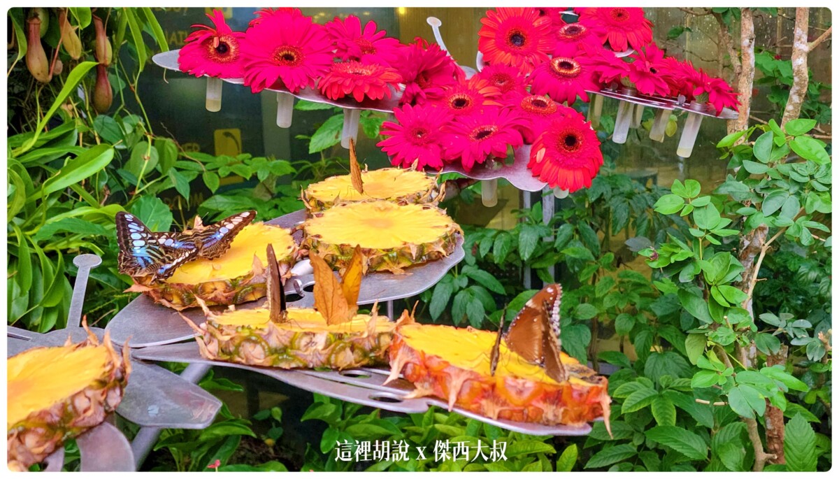 SIN/WSSS 新加坡樟宜機場懶人包 機場地圖全集 管制區域版：T3 蝴蝶花園（TRANSFER B上樓）