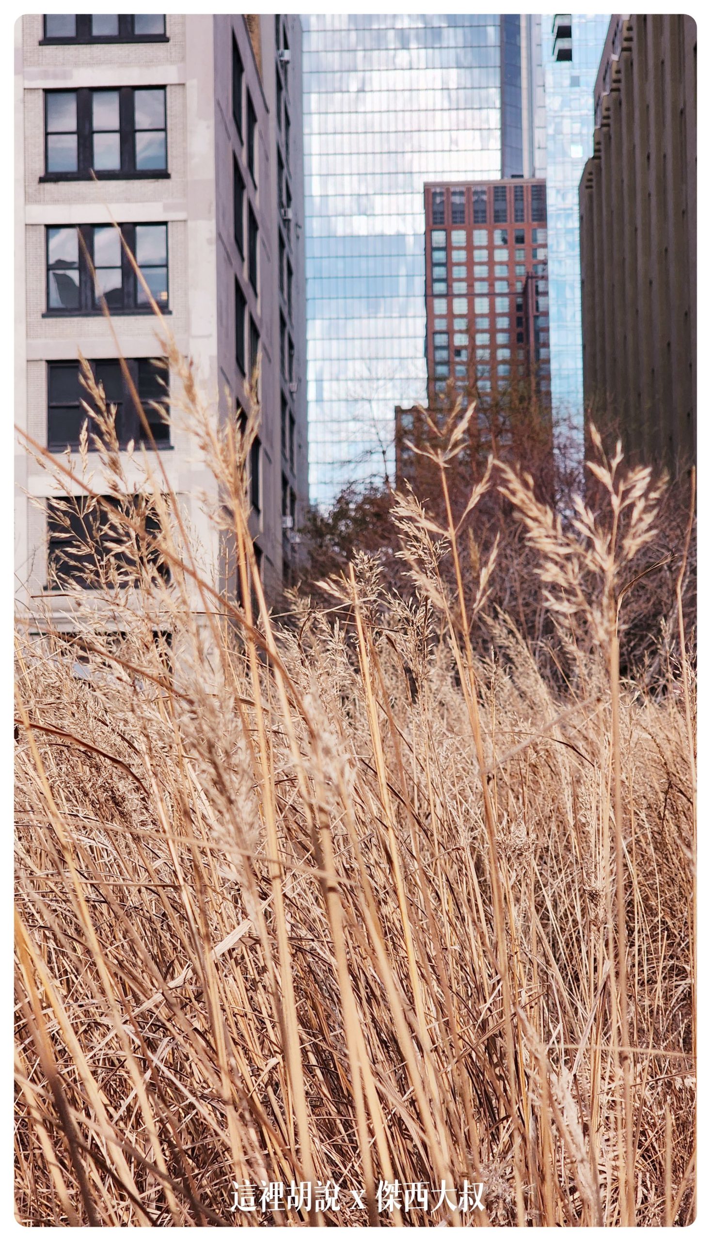 紐約城市高架步道 HIGH LINE / VESSEL 漫步在紐約：HIGH LINE
