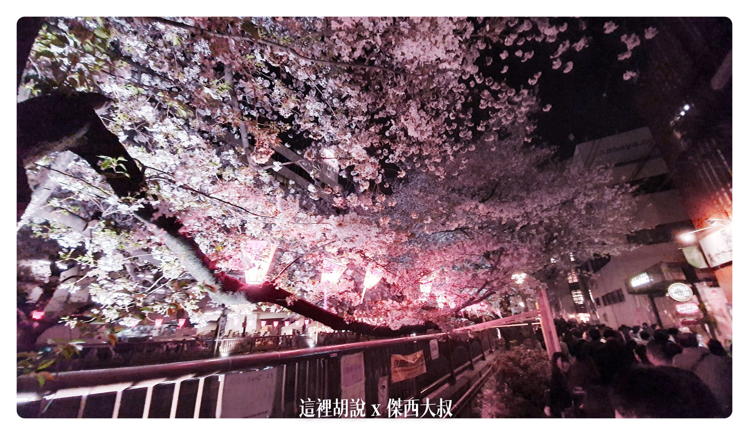 中目黑目黑川的白天與黑夜 櫻花 照片記錄 2019-04：晚上的目黑川夜櫻