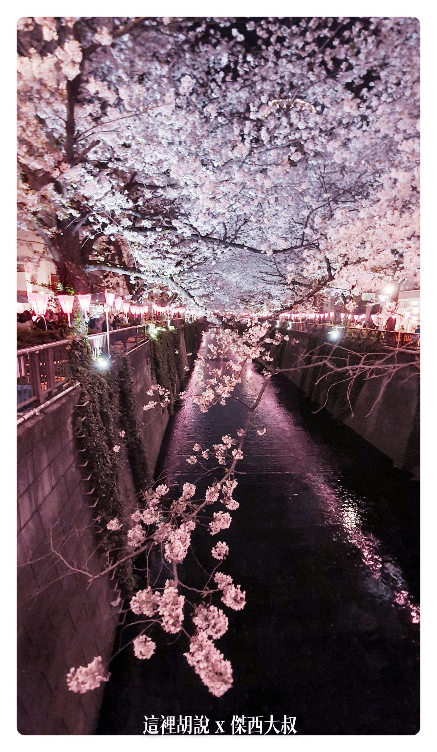 中目黑目黑川的白天與黑夜 櫻花 照片記錄 2019-04：晚上的目黑川夜櫻