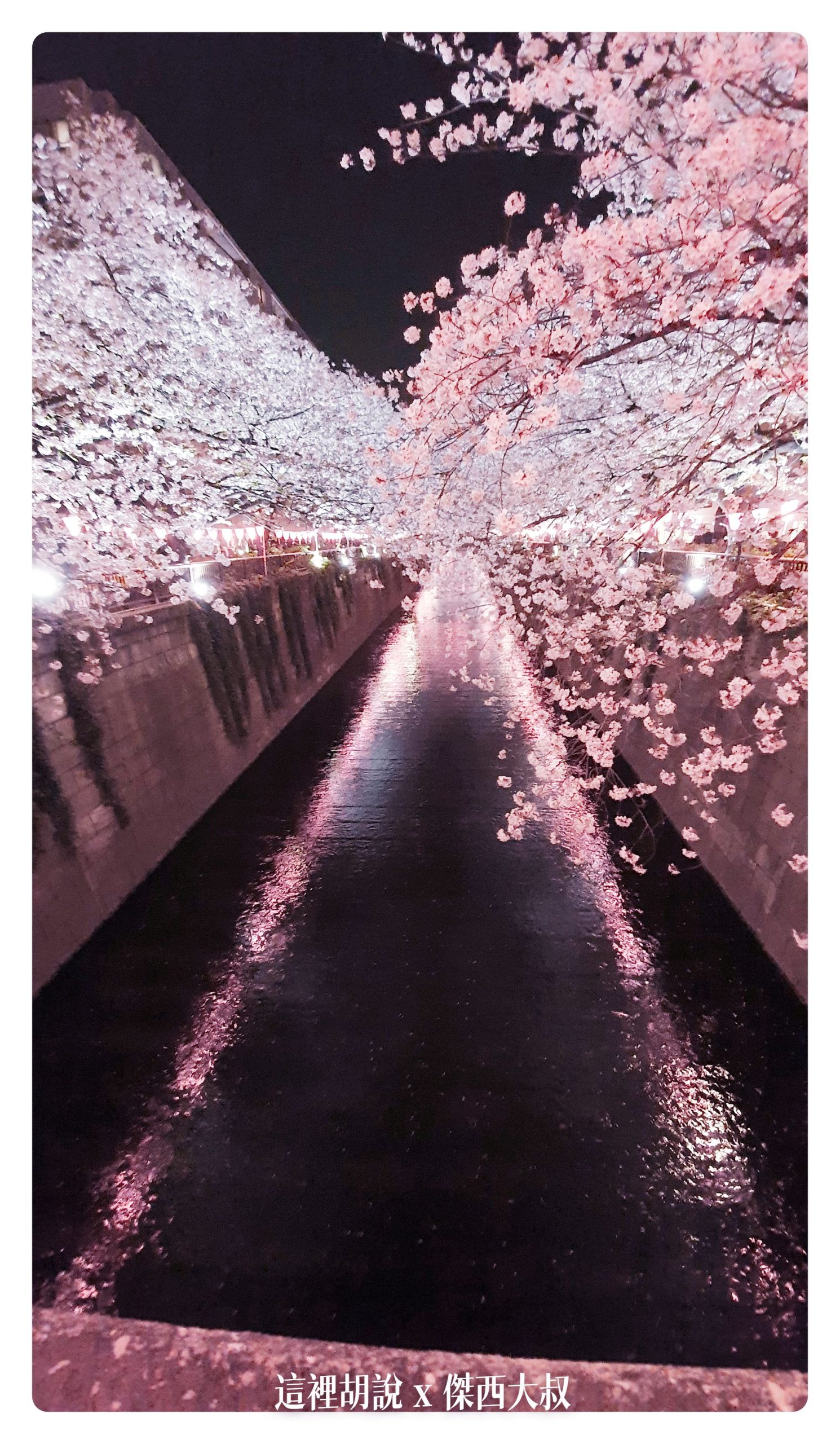 中目黑目黑川的白天與黑夜 櫻花 照片記錄 2019-04：晚上的目黑川夜櫻