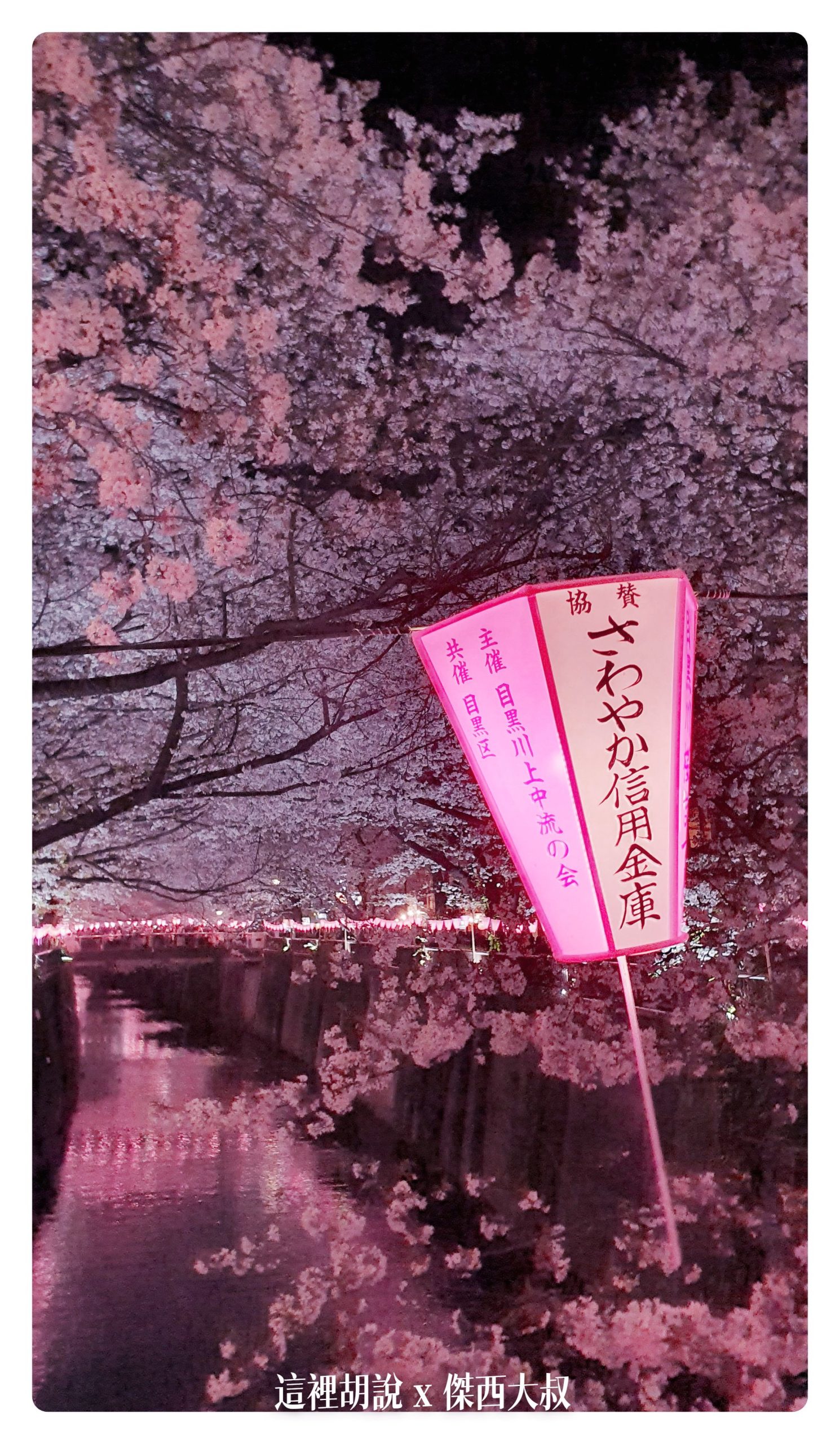 中目黑目黑川的白天與黑夜 櫻花 照片記錄 2019-04：晚上的目黑川夜櫻