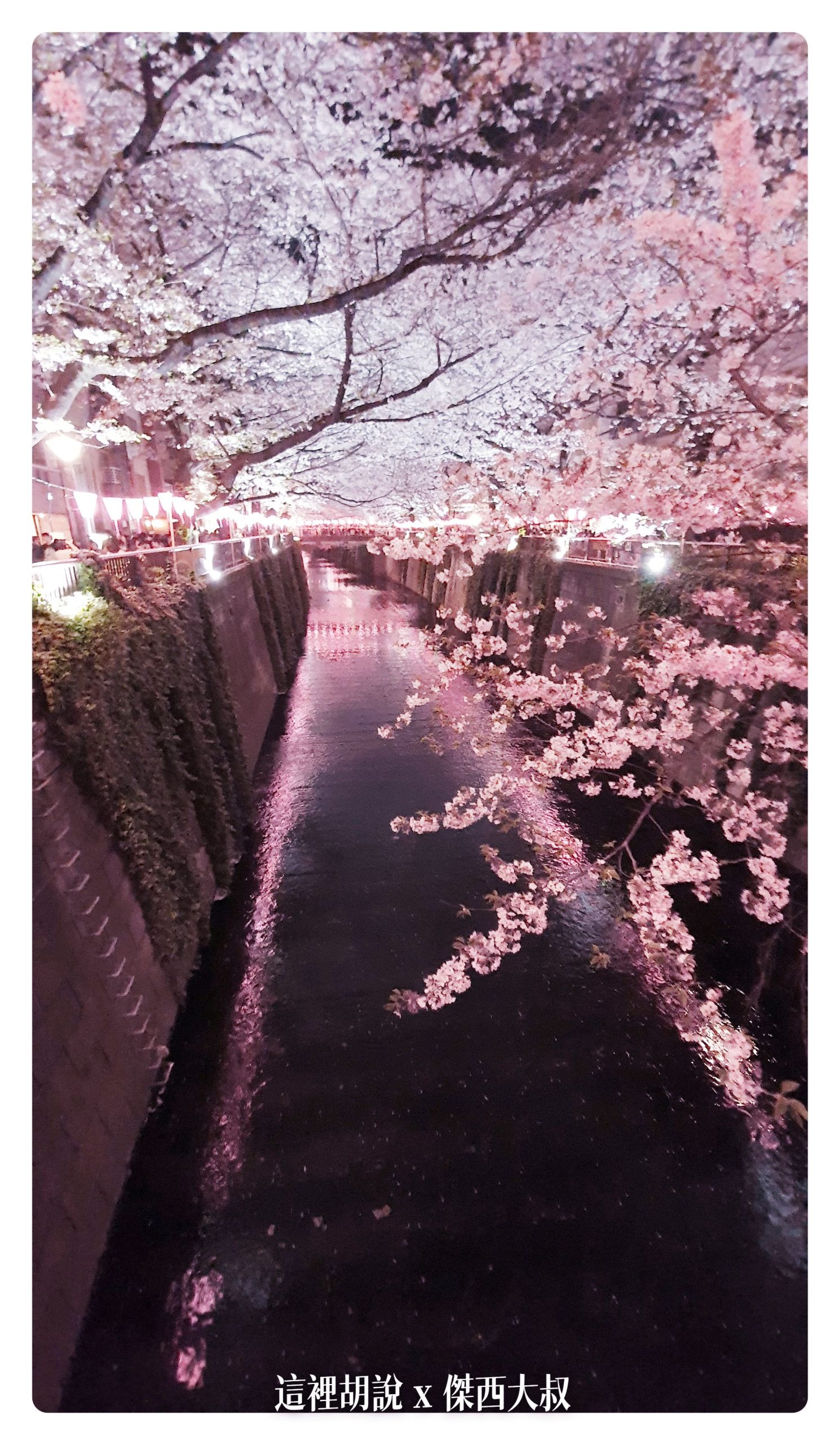 中目黑目黑川的白天與黑夜 櫻花 照片記錄 2019-04：晚上的目黑川夜櫻