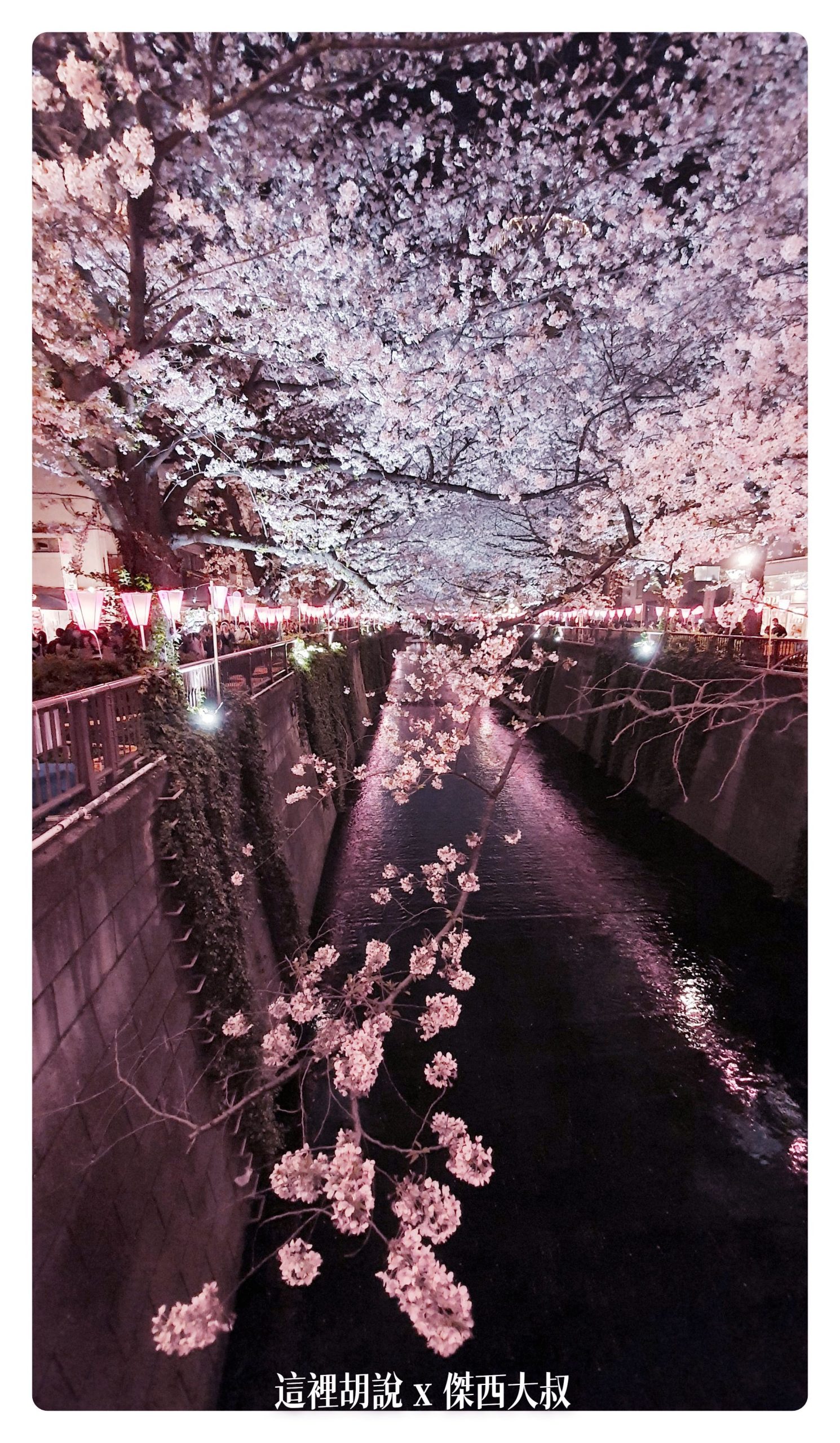 中目黑目黑川的白天與黑夜 櫻花 照片記錄 2019-04：晚上的目黑川夜櫻