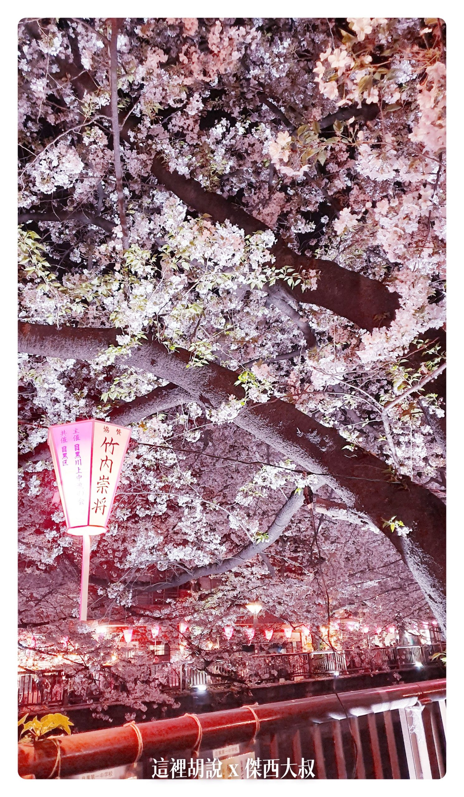 中目黑目黑川的白天與黑夜 櫻花 照片記錄 2019-04：晚上的目黑川夜櫻