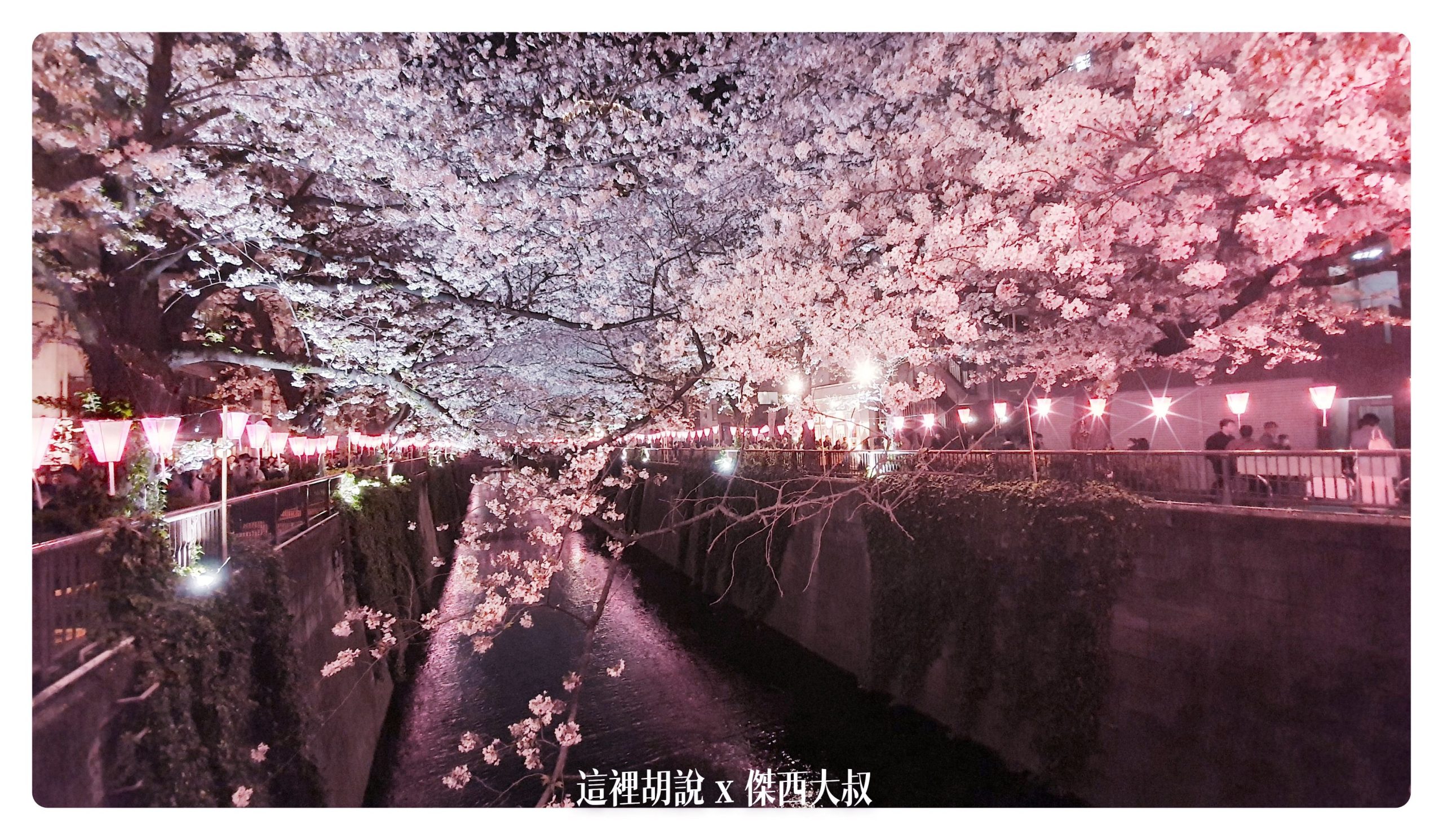 中目黑目黑川的白天與黑夜 櫻花 照片記錄 2019-04：晚上的目黑川夜櫻