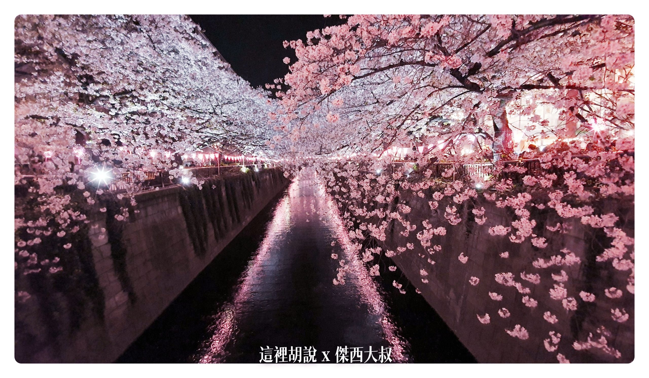 中目黑目黑川的白天與黑夜 櫻花 照片記錄 2019-04：晚上的目黑川夜櫻