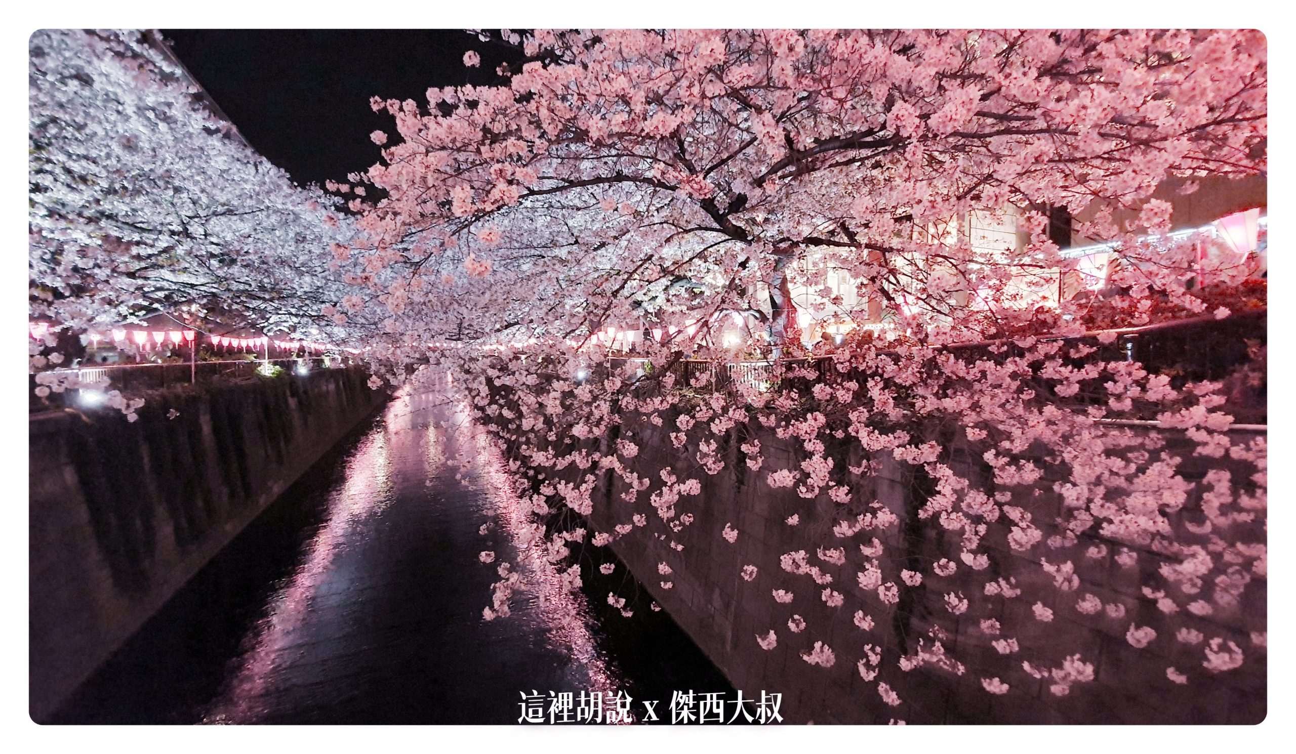 中目黑目黑川的白天與黑夜 櫻花 照片記錄 2019-04：晚上的目黑川夜櫻