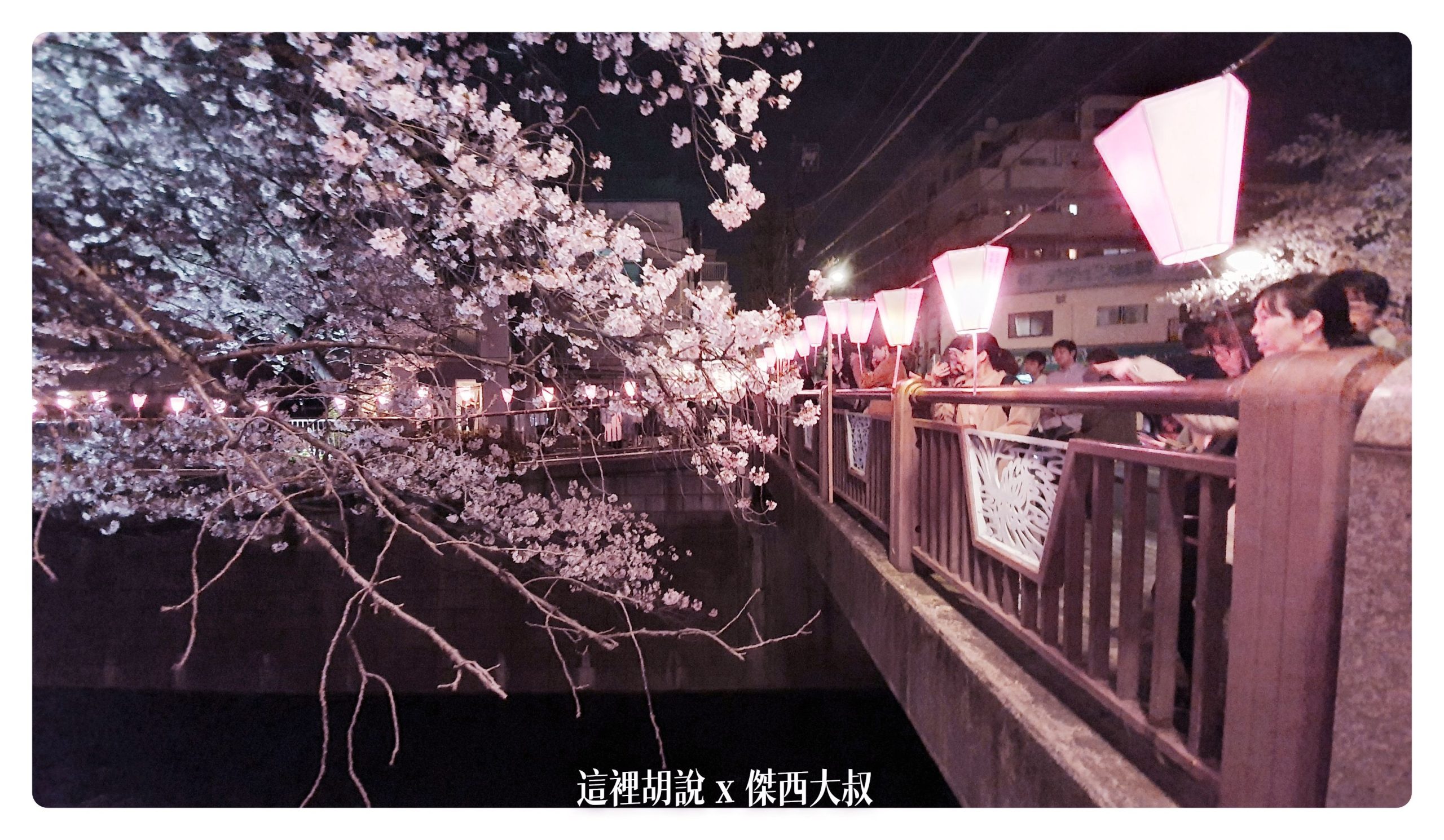 中目黑目黑川的白天與黑夜 櫻花 照片記錄 2019-04：晚上的目黑川夜櫻