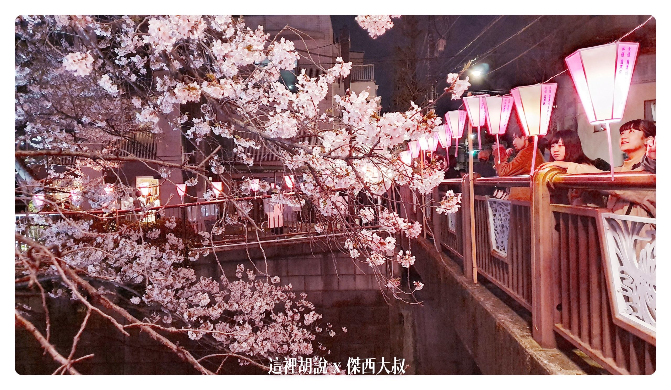 中目黑目黑川的白天與黑夜 櫻花 照片記錄 2019-04：晚上的目黑川夜櫻