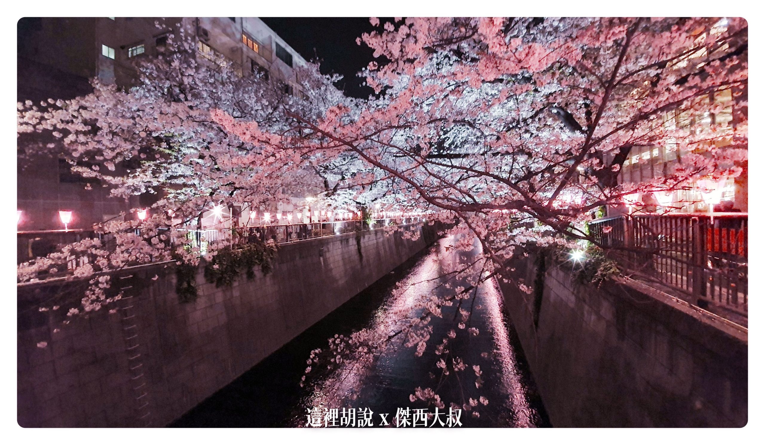 中目黑目黑川的白天與黑夜 櫻花 照片記錄 2019-04：晚上的目黑川夜櫻