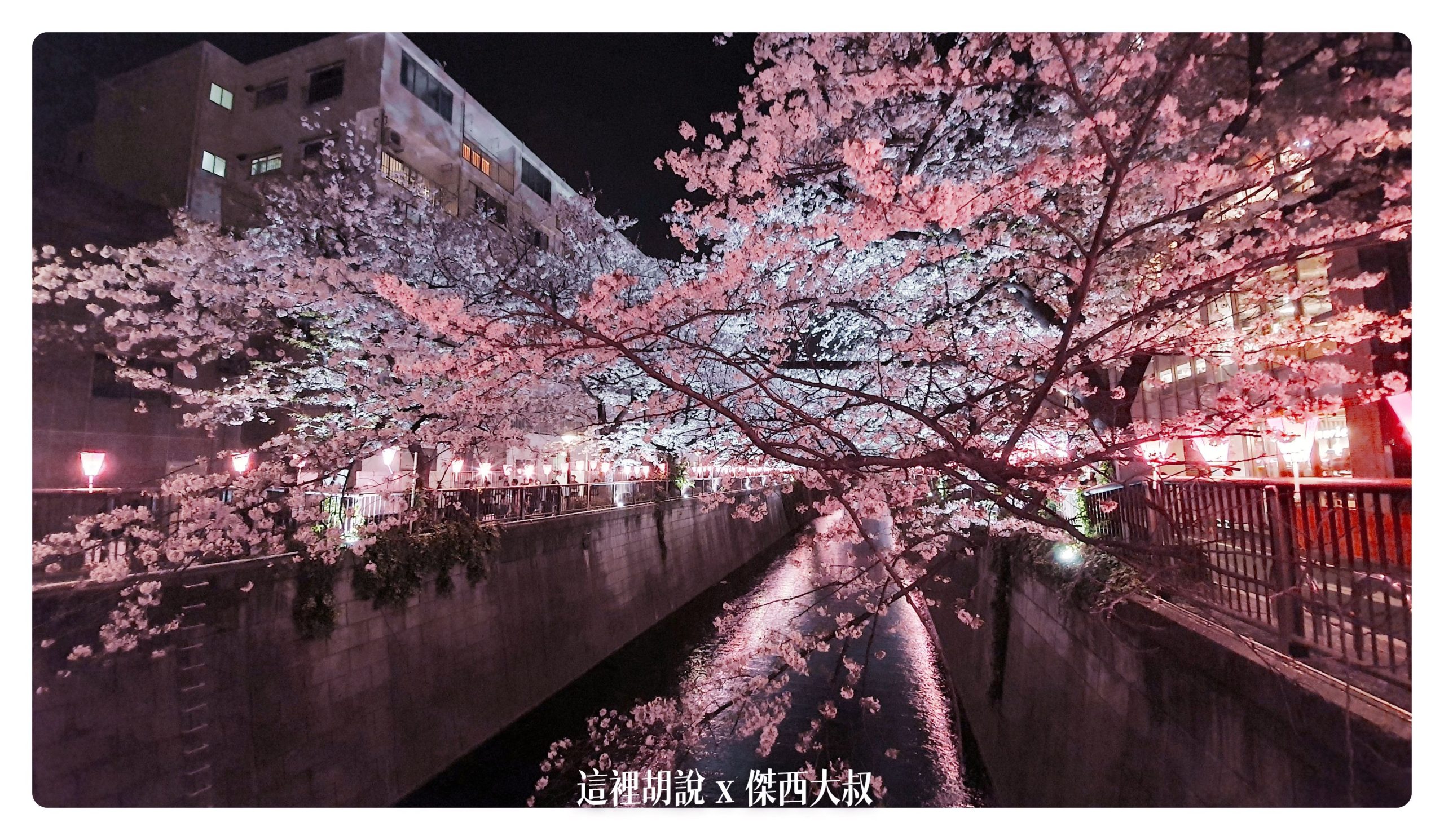 中目黑目黑川的白天與黑夜 櫻花 照片記錄 2019-04：晚上的目黑川夜櫻