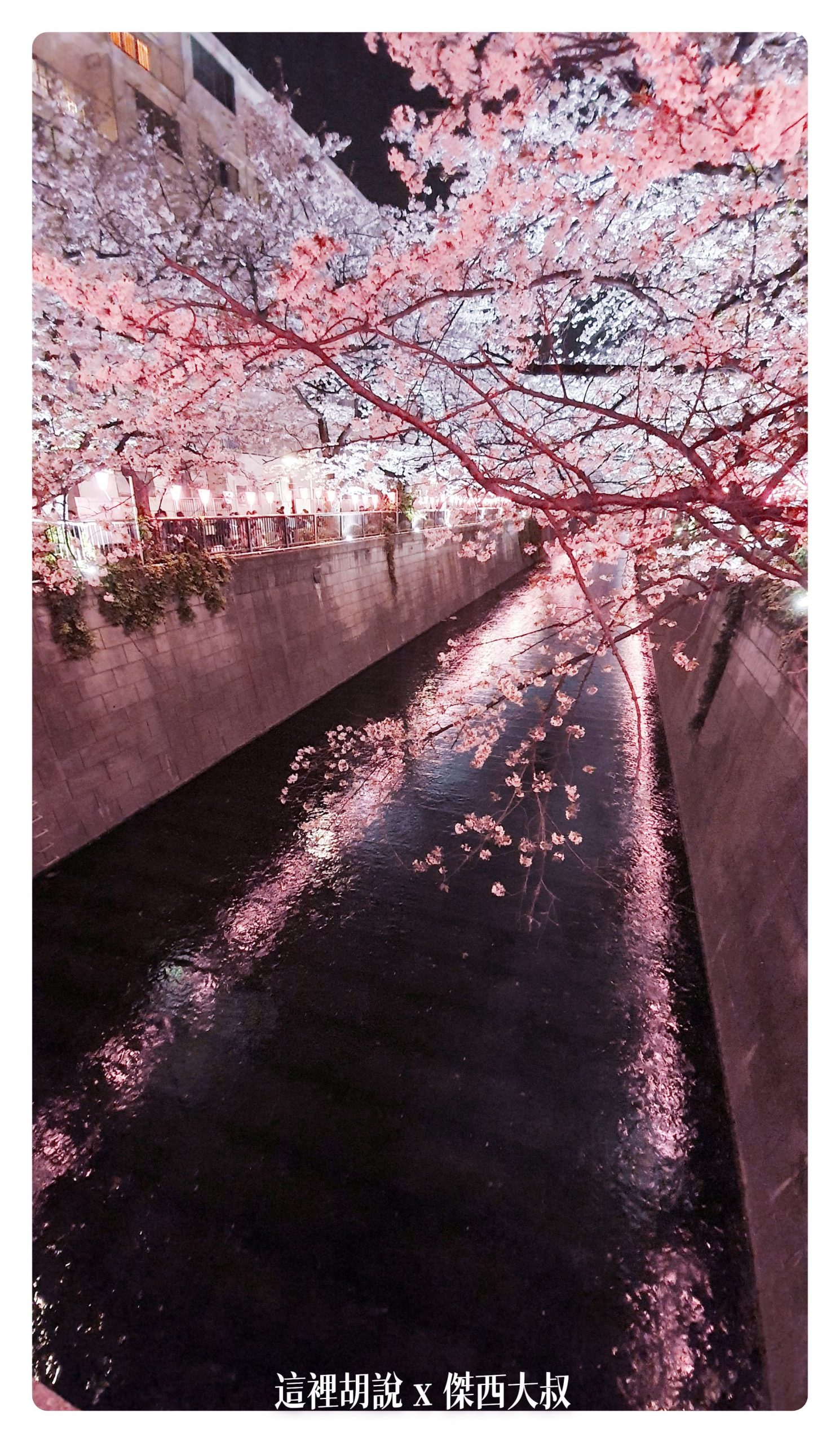 中目黑目黑川的白天與黑夜 櫻花 照片記錄 2019-04：晚上的目黑川夜櫻