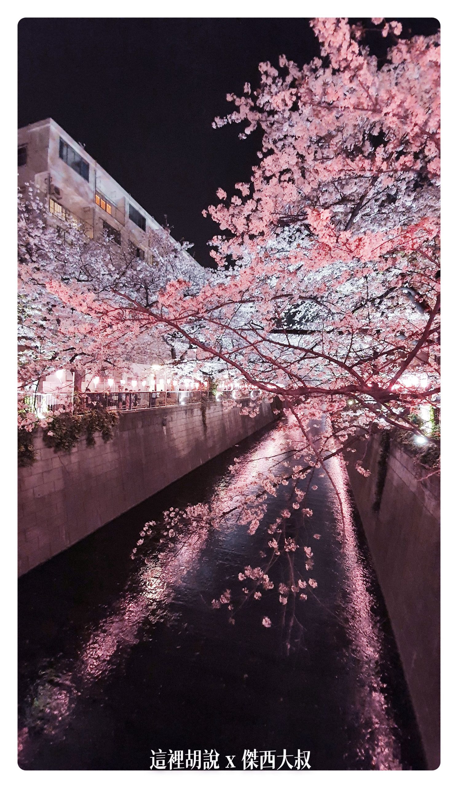 中目黑目黑川的白天與黑夜 櫻花 照片記錄 2019-04：晚上的目黑川夜櫻