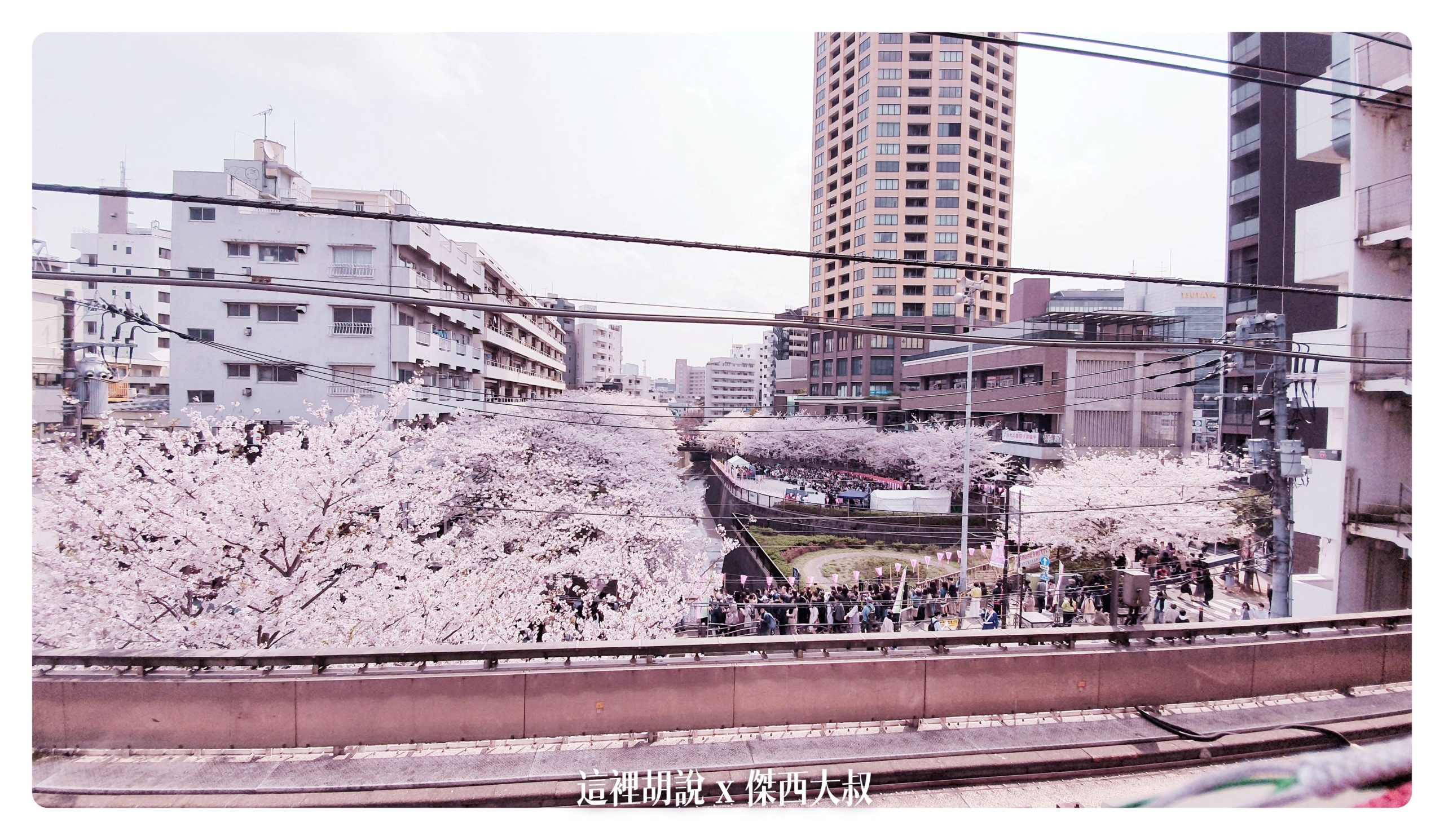 中目黑目黑川的白天與黑夜 櫻花 照片記錄 2019-04：白天的目黑川櫻花