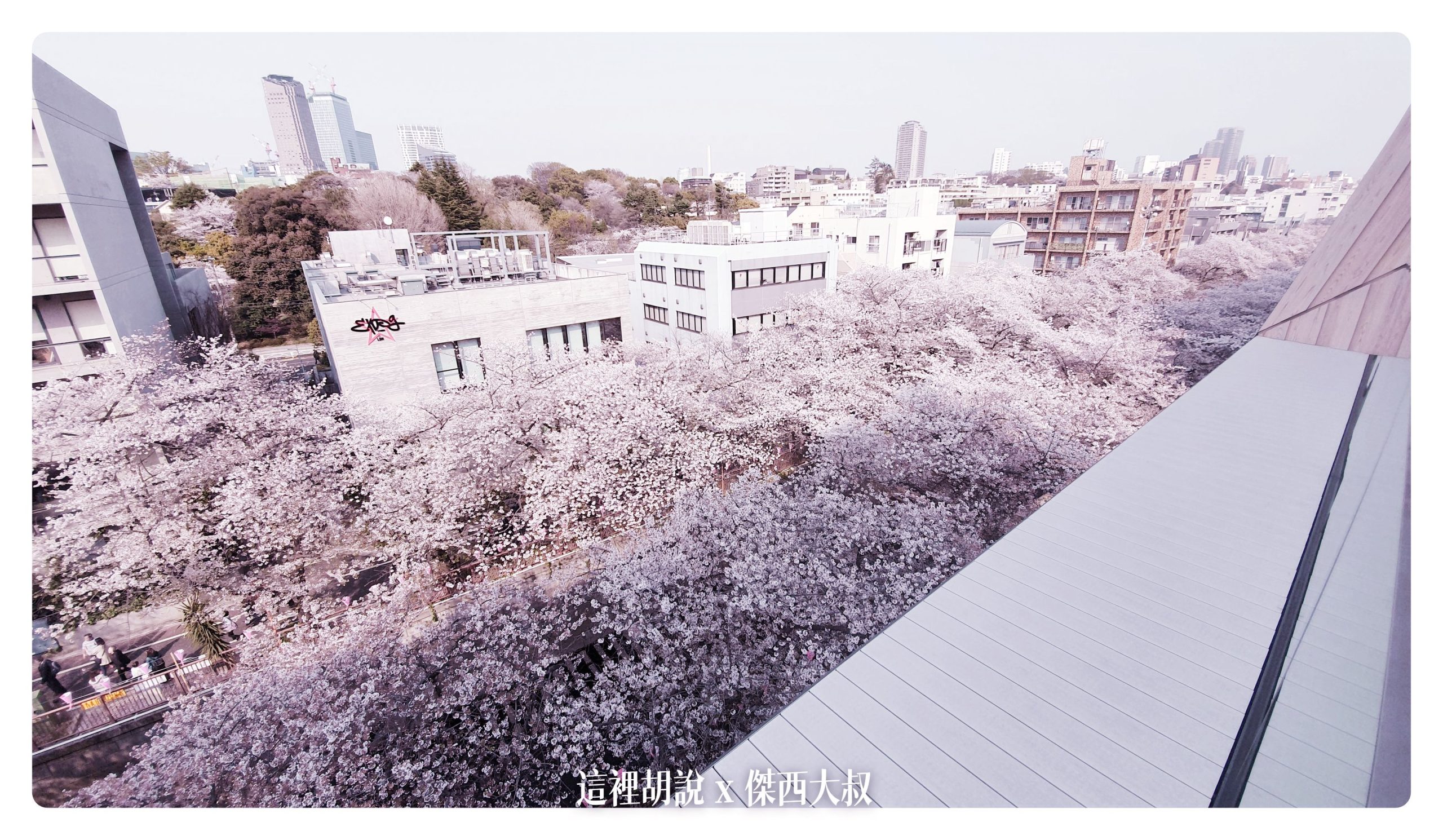中目黑目黑川的白天與黑夜 櫻花 照片記錄 2019-04：目黑川的星巴克烘焙工坊