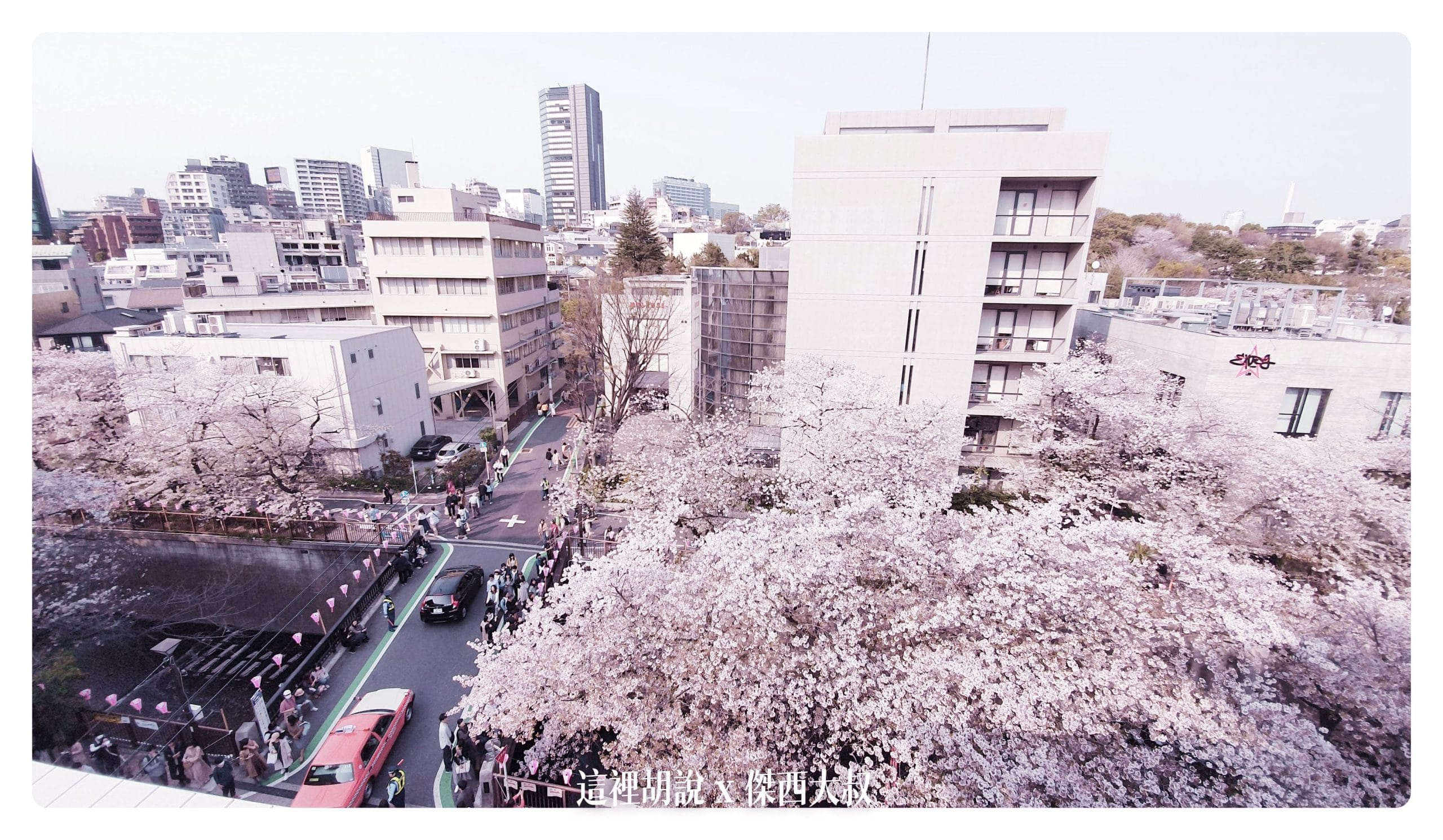 中目黑目黑川的白天與黑夜 櫻花 照片記錄 2019-04：目黑川的星巴克烘焙工坊