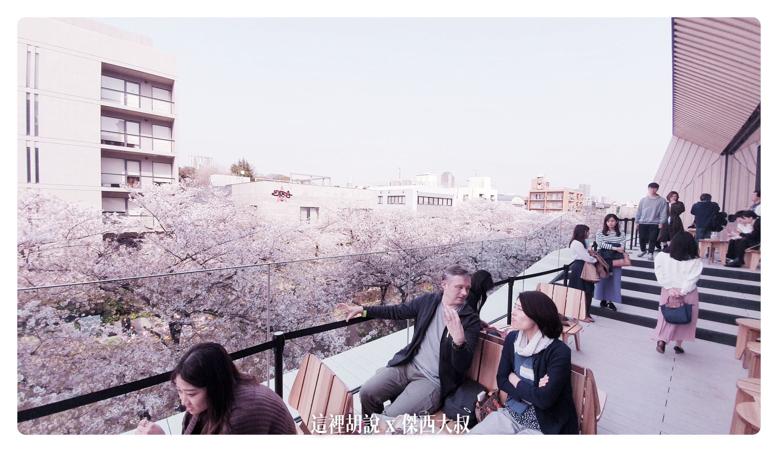 中目黑目黑川的白天與黑夜 櫻花 照片記錄 2019-04：目黑川的星巴克烘焙工坊