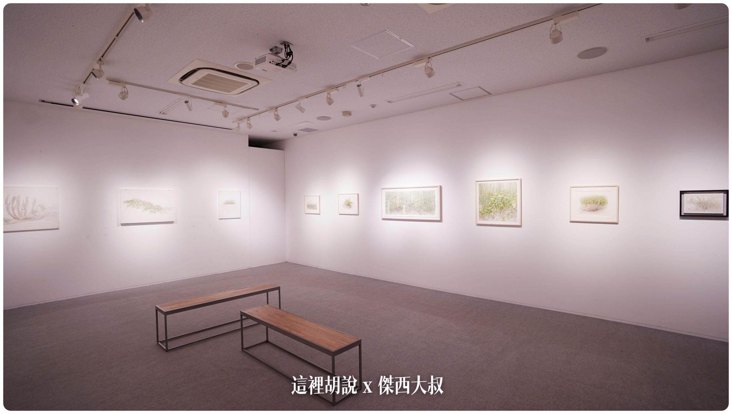 這一期展示的是象徵新生的植物畫作