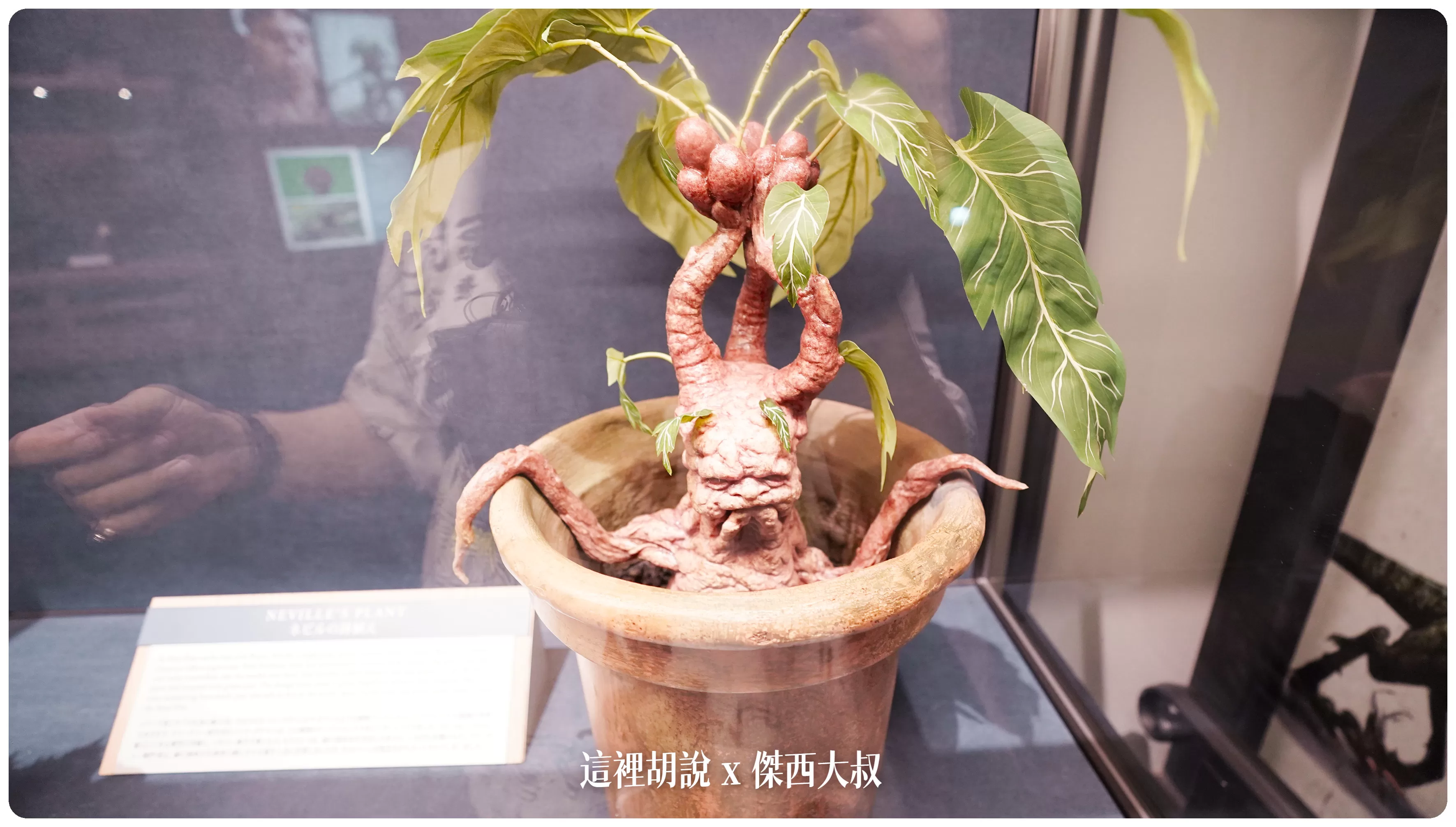 最可愛的毒蘋果