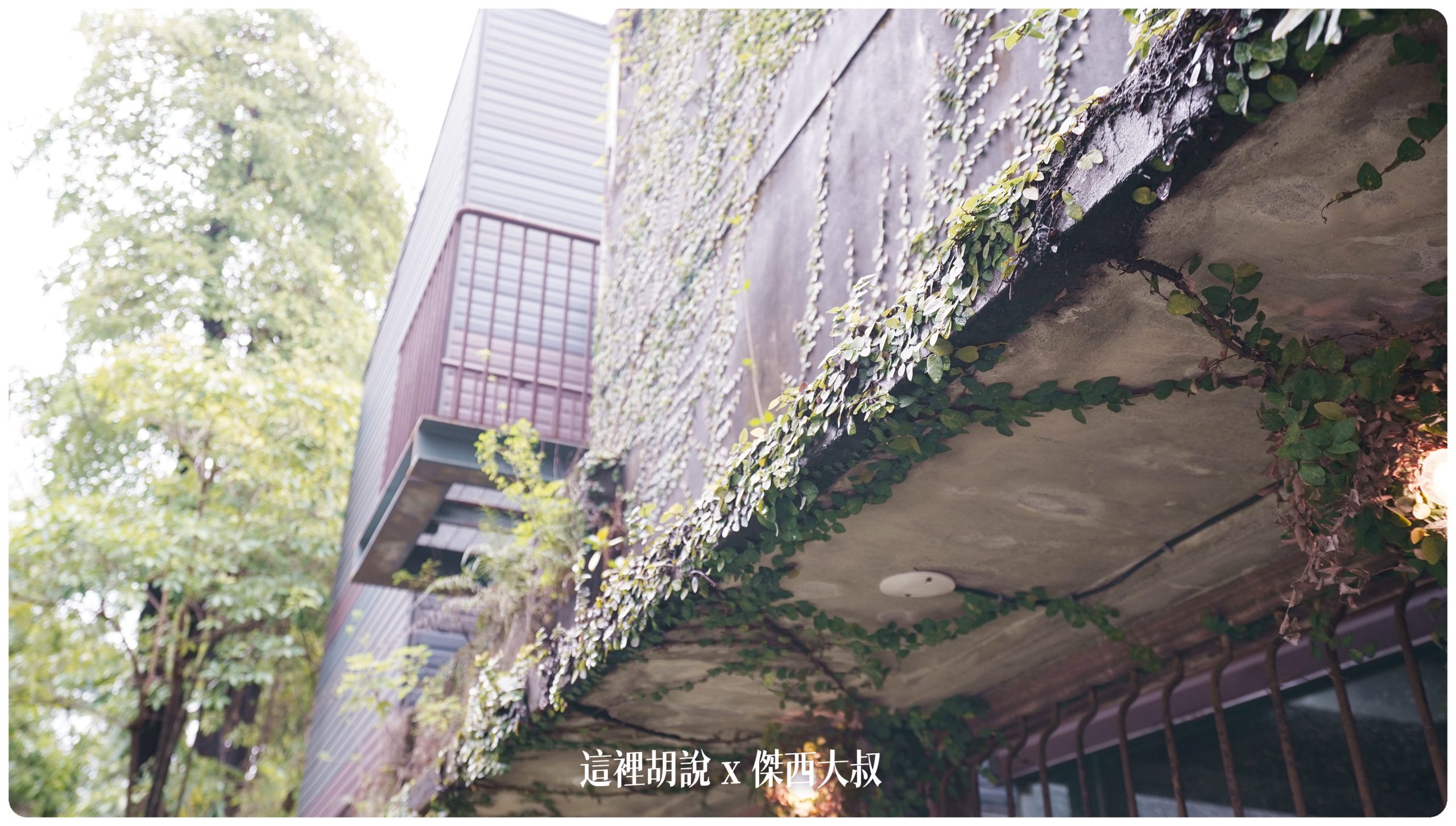 屏東竹田：大和頓物所 老碾米廠廢墟變身咖啡館：保留植物生長的路徑