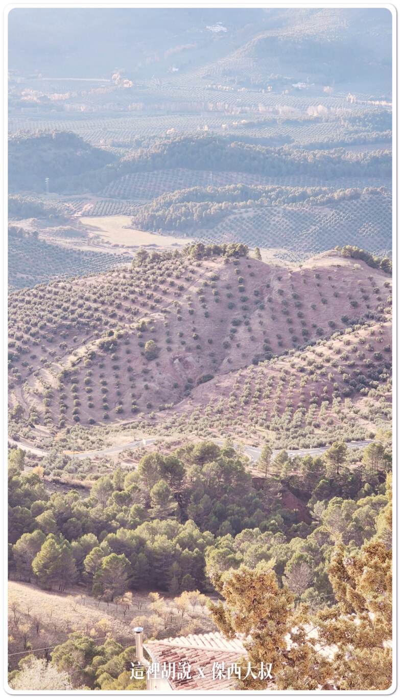 西班牙哈恩區：面向橄欖田的住宿 Apartamentos Cortijo Peñardera：風景