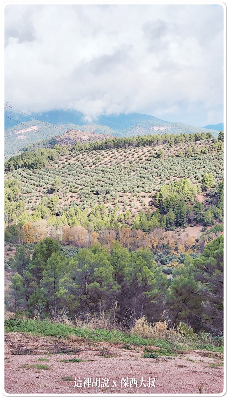 西班牙哈恩區：面向橄欖田的住宿 Apartamentos Cortijo Peñardera：風景