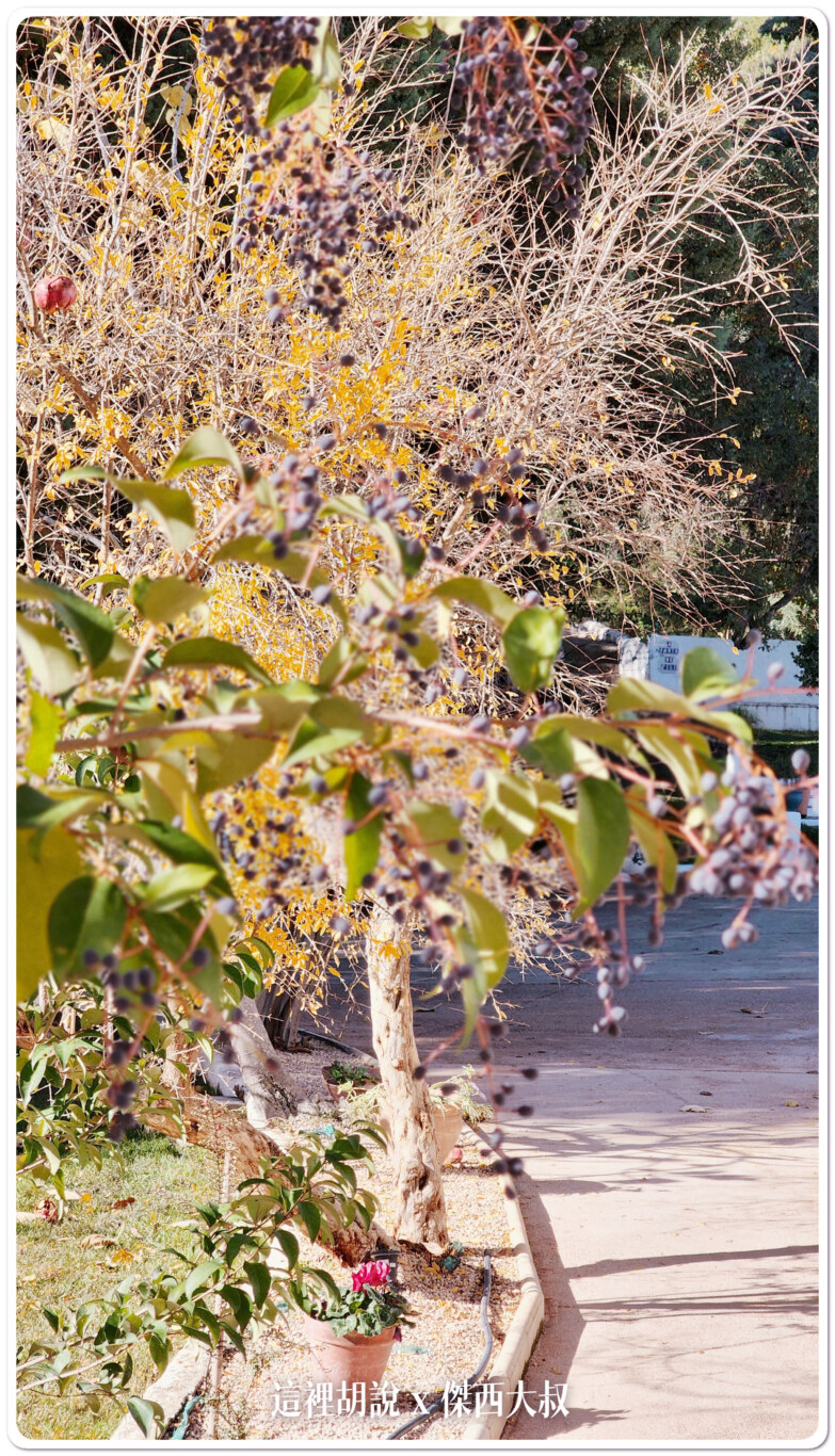 西班牙哈恩區：面向橄欖田的住宿 Apartamentos Cortijo Peñardera：庭園