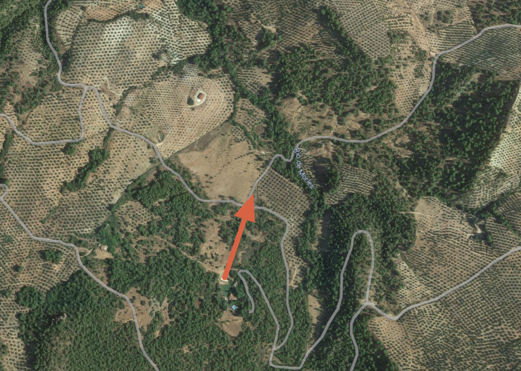 西班牙哈恩區：面向橄欖田的住宿 Apartamentos Cortijo Peñardera：風景
