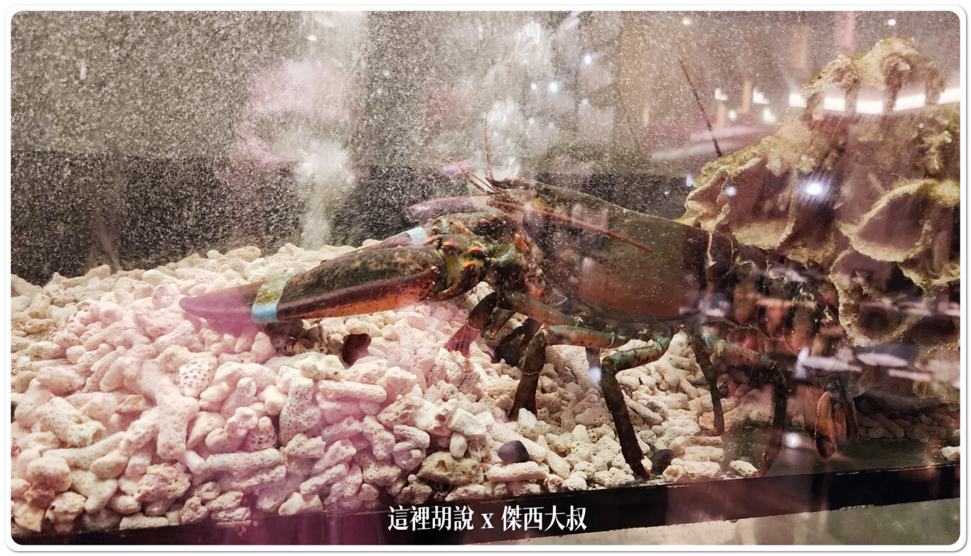 台北內湖 美福大飯店 潮粵坊烤鴨：用餐環境