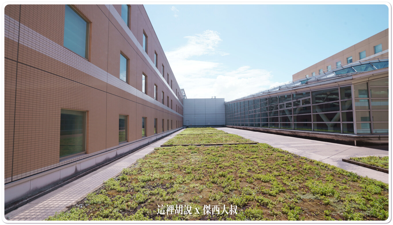 房間窗戶是面對內側整個飯店H形的結構只有一面是面對機場