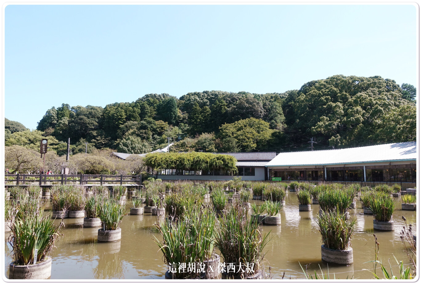 福岡太宰府 天滿宮 航空安全御守：天滿宮