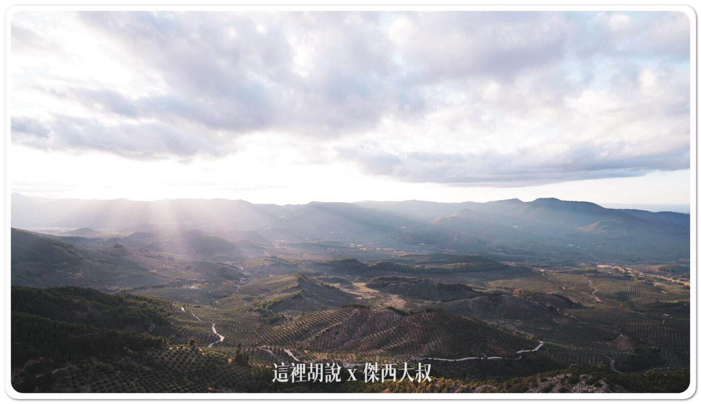 西班牙哈恩 T&T(TIERRAS DE TAVARA) 橄欖油 賽爾古拉限定產區：賽爾古拉限定產區