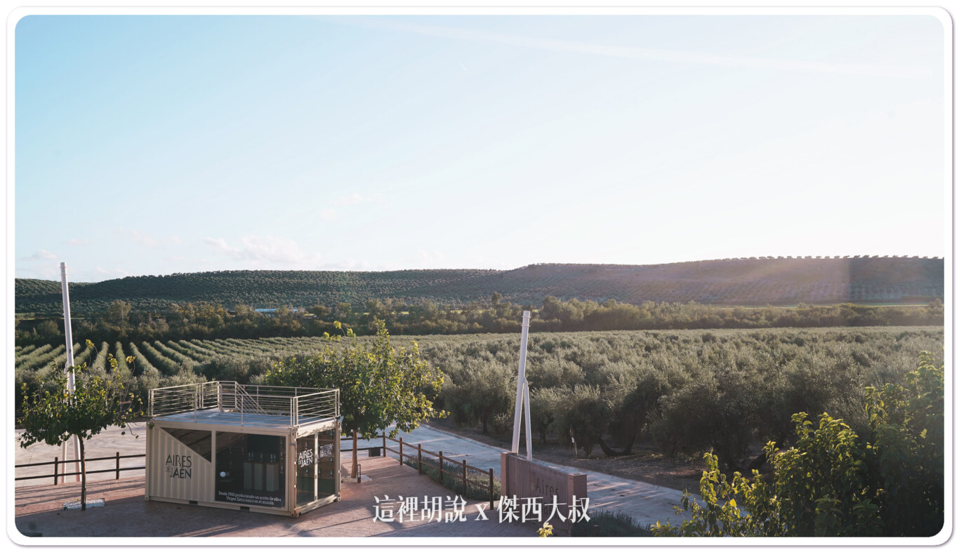 西班牙哈恩 巴狄尼絲莊園 Aires de Jaén 橄欖園及橄欖油工廠：巴狄尼絲莊園橄欖田