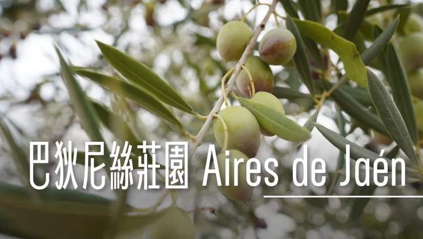 西班牙哈恩 巴狄尼絲莊園 Aires de Jaén 橄欖園及橄欖油工廠 - 這裡胡說 JL TALKS 西班牙哈恩 巴狄尼絲莊園 Aires de Jaén 橄欖園及橄欖油工廠 - 這裡胡說 JL TALKS
