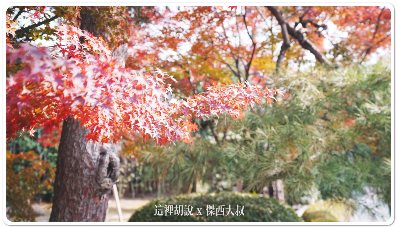 宇治半日遊 出現在日幣上的平等院鳳凰堂：平等院的楓葉