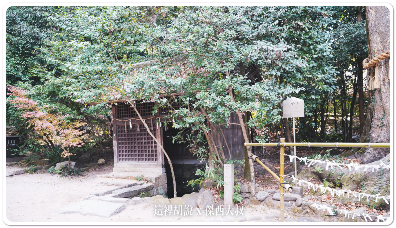 這裡也是桐原水的湧出地 這裡也是桐原水的湧出地