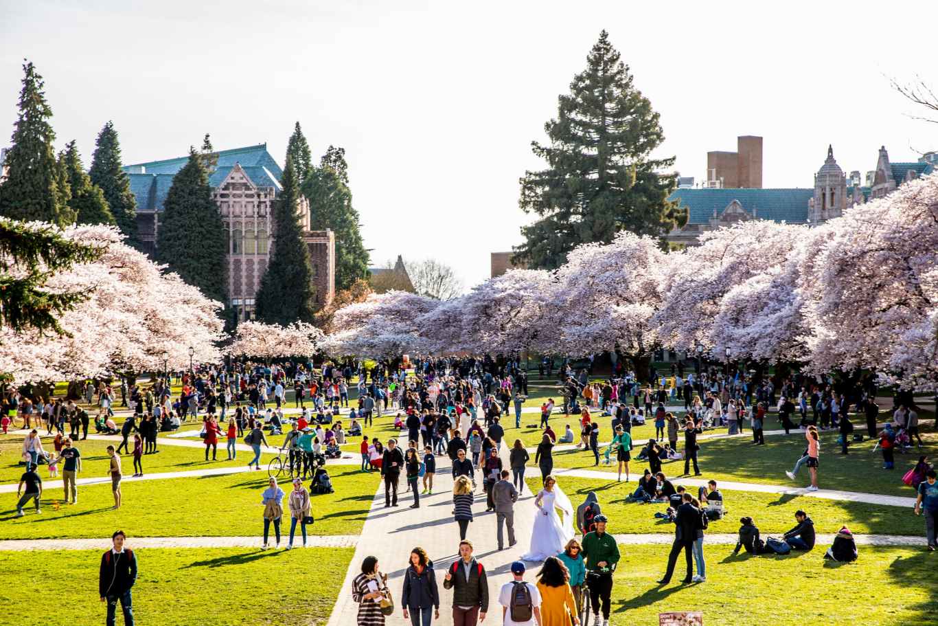 圖片來源 Seattle campus – About the UW (washington.edu)