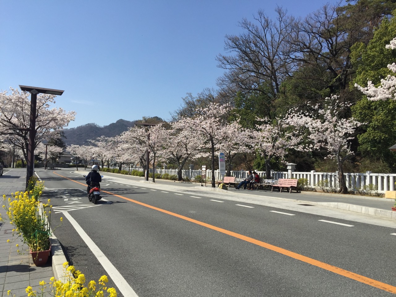日本百大名城：24.武田氏館：武田神社