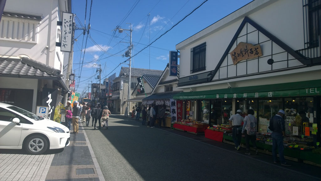 日本百大名城：57.篠山城：篠山城的交通