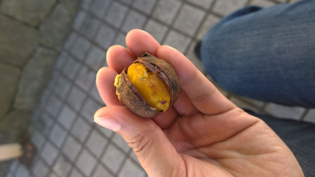 日本百大名城：57.篠山城：值得一提的名物