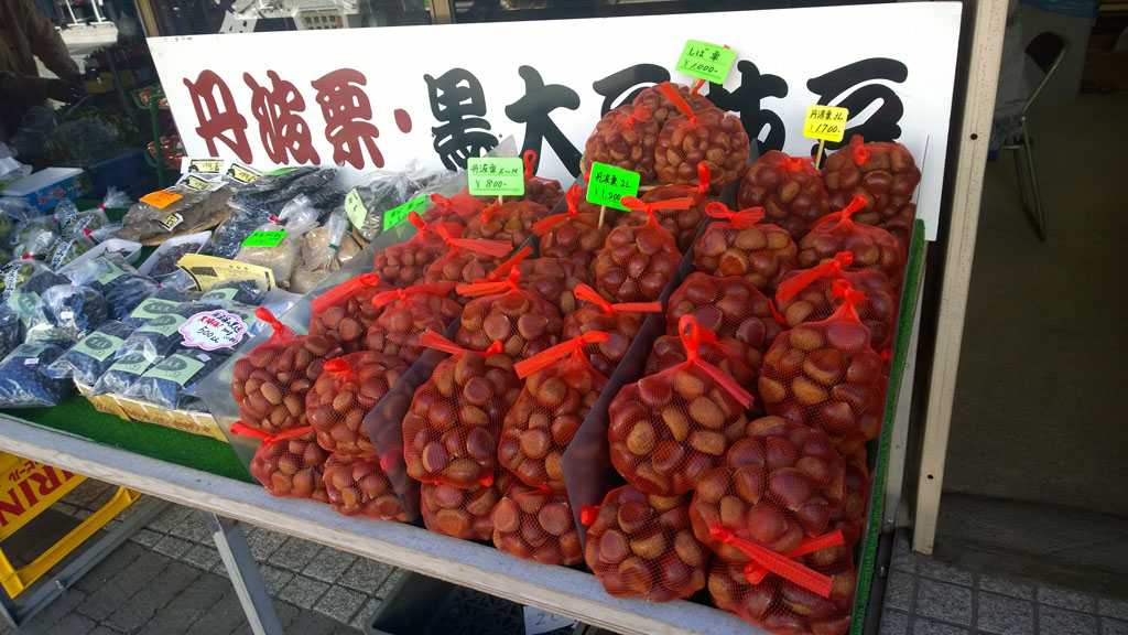 日本百大名城：57.篠山城：值得一提的名物