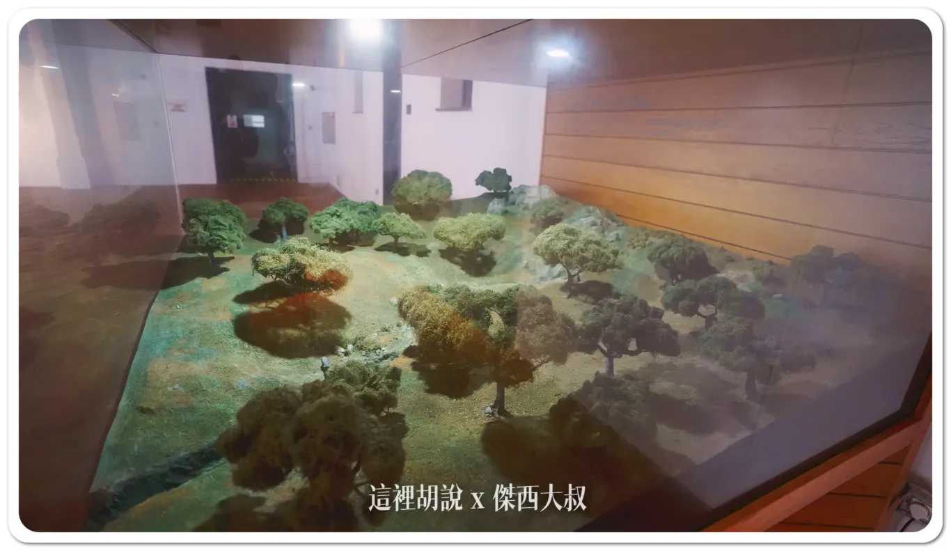 一隻豬在5J可以有六千坪的地（法規是一公頃三千坪）