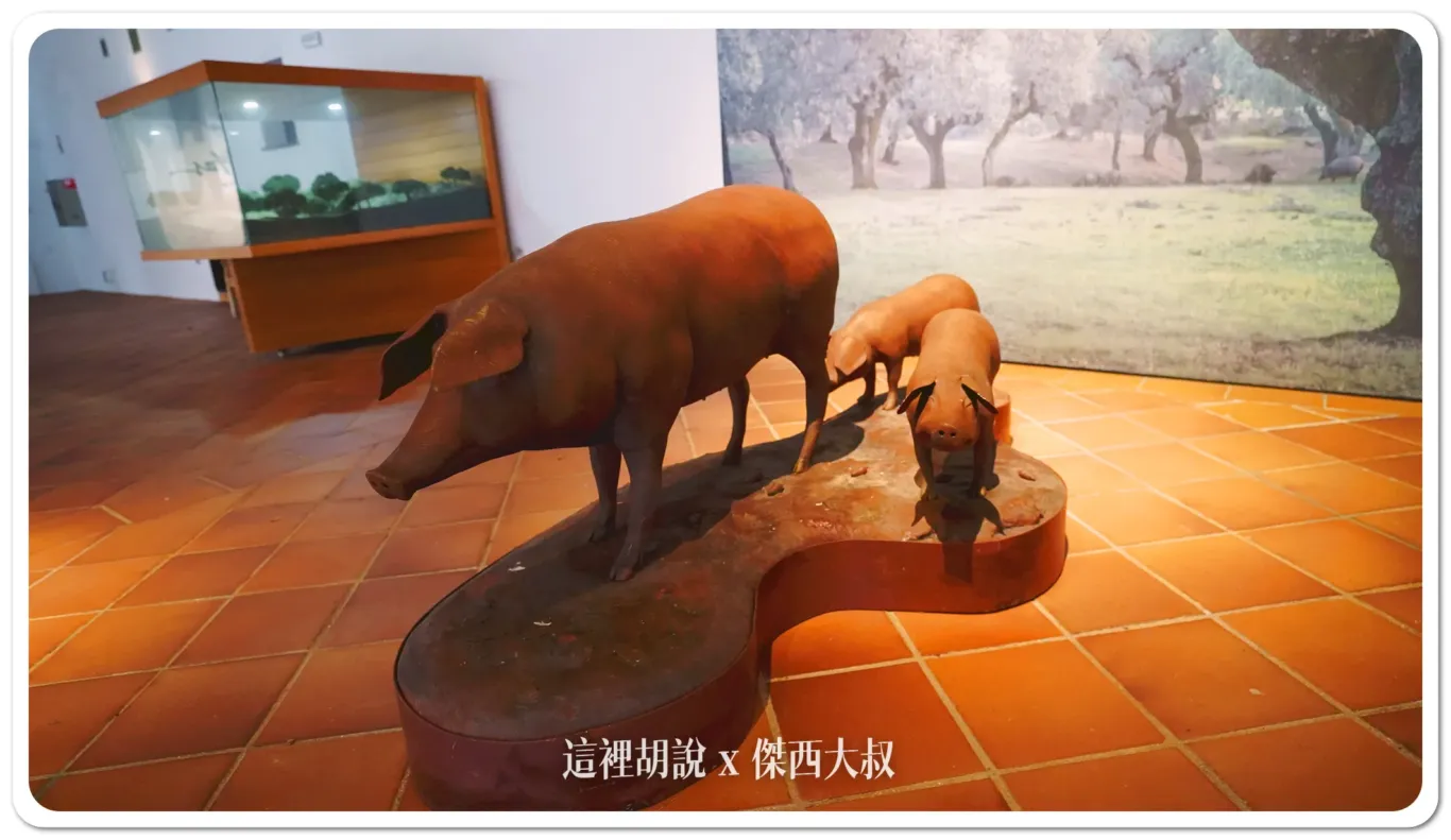 伊比利豬的特徵，他的耳朵是往前垂的