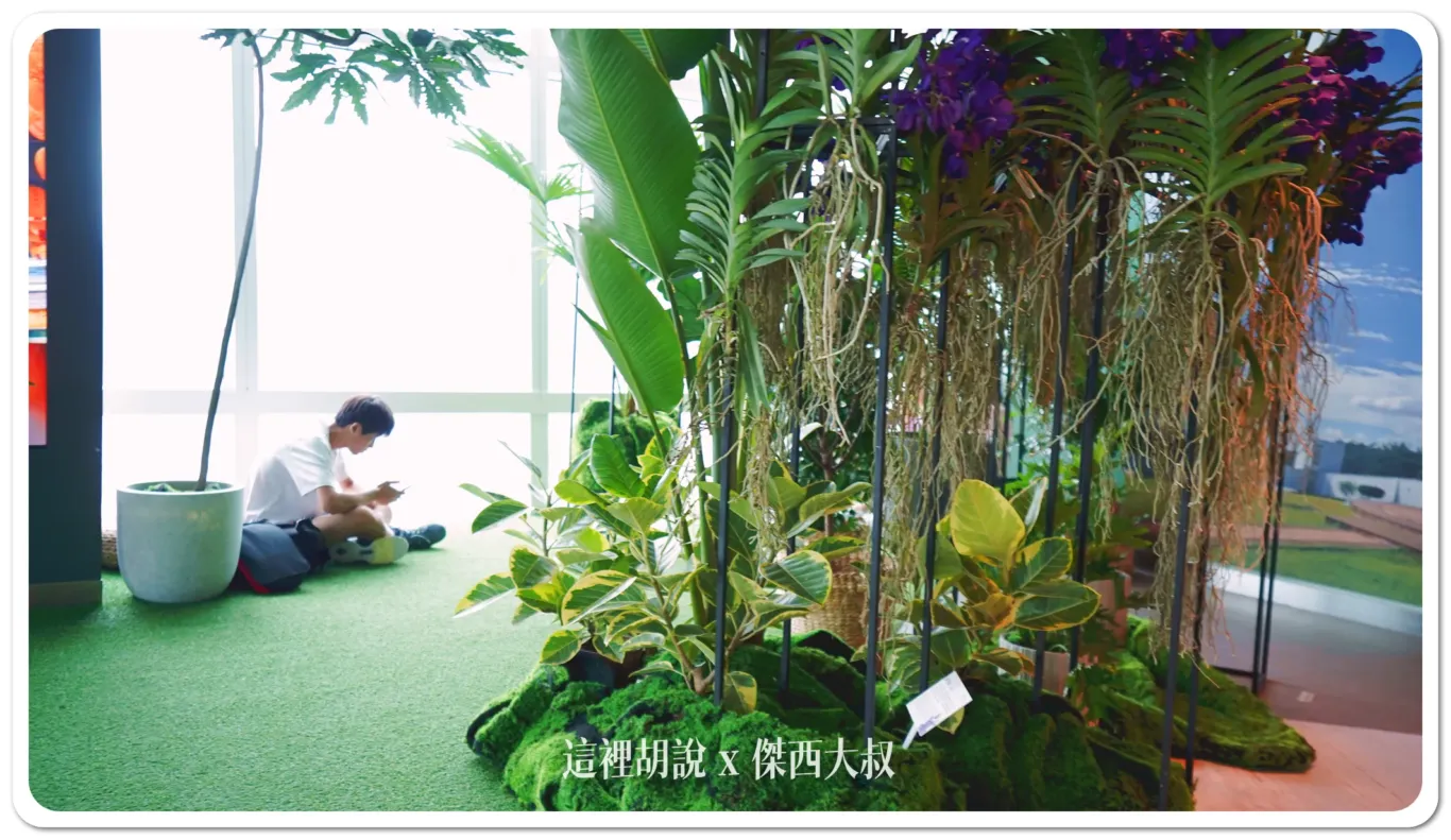 開箱貴賓才能去的神秘101層  上去不只是看風景 台灣最高的野餐 台北101 「秘境花園觀景台」：89樓-大家怎麼拍